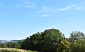 Uitzicht-repetitieruimte