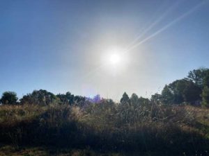 Preau-24-Kay-Sleking